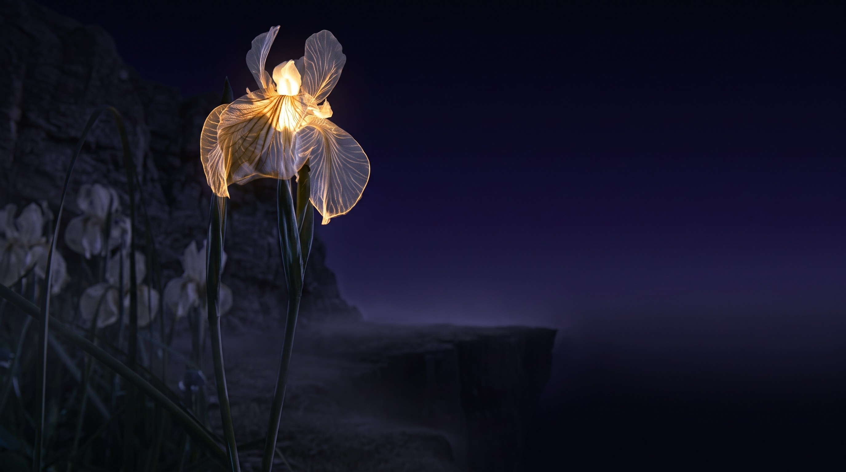 Een enkele iris in het licht op de rand van het veld, de nacht open erachter